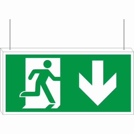 rainbow dse01 double side fire exit arrow down sign