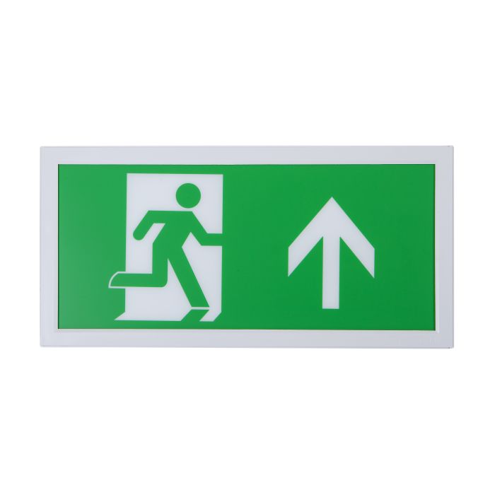 Firechief FEB03 3W LED Emergency Exit Box